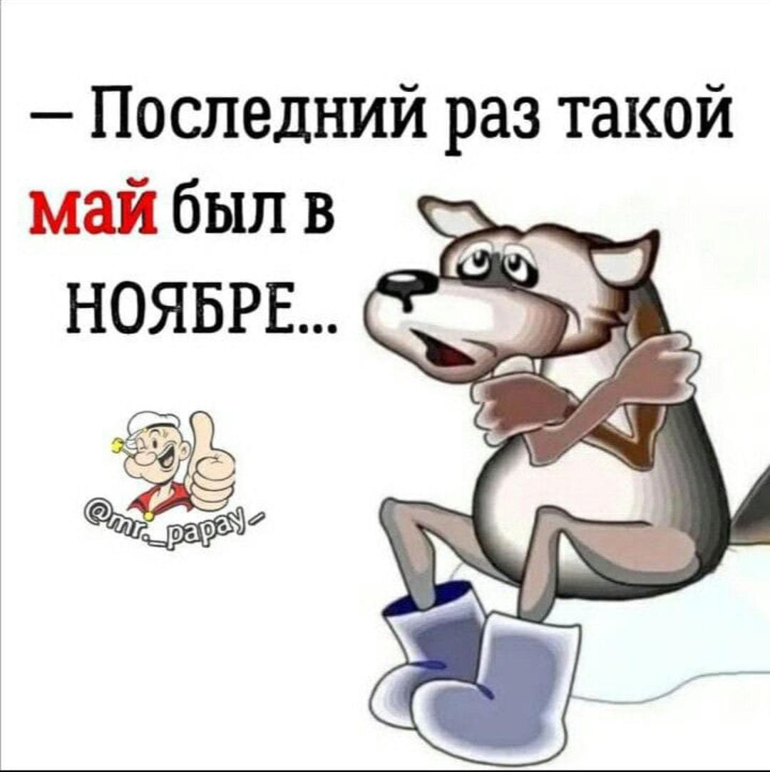 ****    !!!   .  - 7  2024  20:17