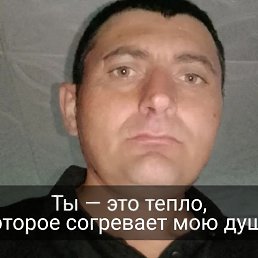  , 33, 