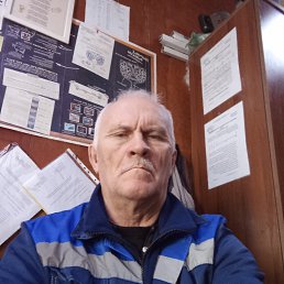 ���� ��������, �����������, 66 ��� - ��������� 9 ����� 2024