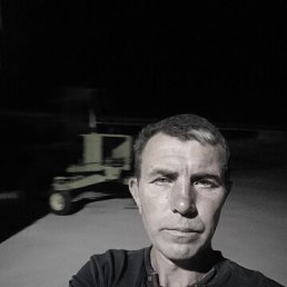 , 39, 