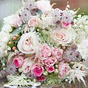 ���� ����, ������ - ��������� 17 ������� 2025 � ������ ���� ����������