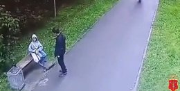 �����������
