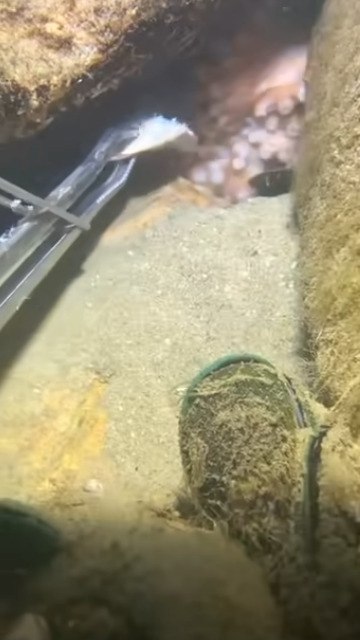     ?     - 2