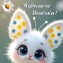 ���� �������, �������� - ��������� 17 ��� 2026 � ������ ������ ��������
