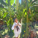 ��������� ������ �� ������� �������������