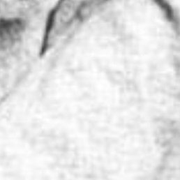 ��������, �����, 33 ����