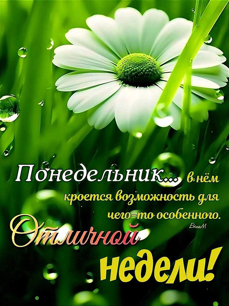   ,    . - 7  2025  07:28 - 4