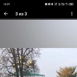 ��������, 65 ���, ������