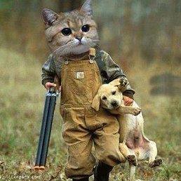 Gosha, ������, 50 ���