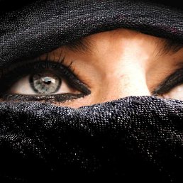 �����, ���������, 48 ���