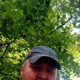 , 56 , -