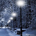 ���� �������, ���������, 49 ��� - ��������� 29 ������ 2026 � ������ ���� ����������