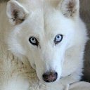 ���� ���������, ������, 50 ��� - ��������� 30 ����� 2025 � ������ ���� ����������