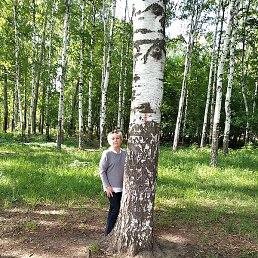 �������, ������, 60 ���