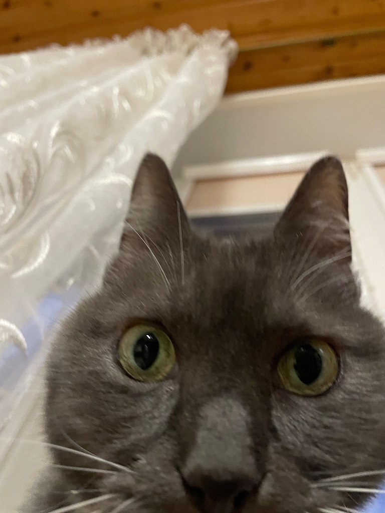 ?