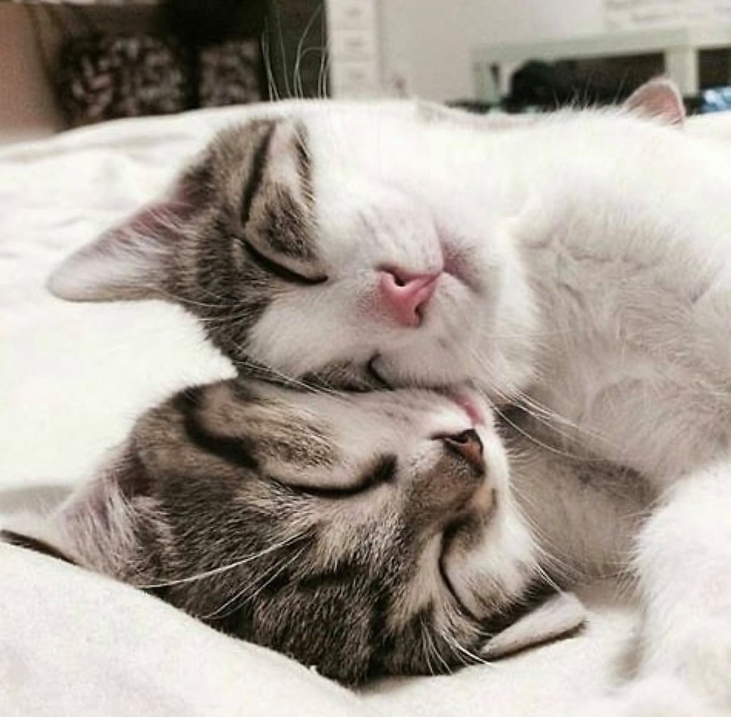 �������� �������, �������� �������! - 2
