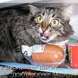 �����, ������