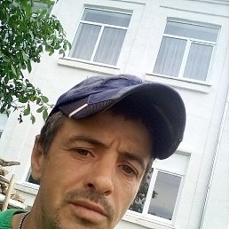 ������, ���������, 40 ���