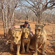 Roman, 49 ���, ��������