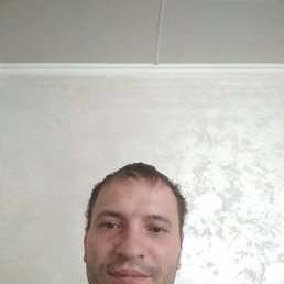 , 39, 