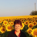 ���� �������, ��������������, 65 ��� - ��������� 14 ���� 2024 � ������ ���� ����������