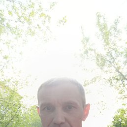 , 34, 