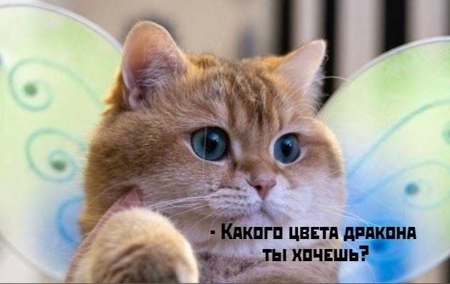       - 15  2025  13:37 - 4