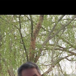 , 61, --