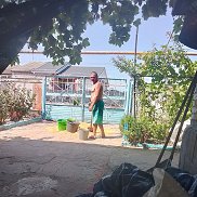  , 46 , 