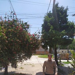 ������, ����, 38 ���