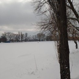 ����, ���������, 38 ���