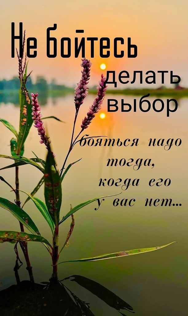 ₪╬═►  ||  ||  ◄═╬₪ - 30  2025  08:13
