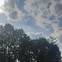 ���� �����, ������, 47 ��� - ��������� 15 ���� 2025 � ������ ���� ����������