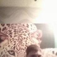 , 38 , 