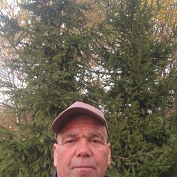 , 58, 