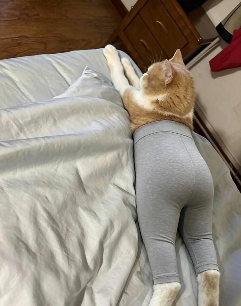 � ��������� ��������� ��������� ������ ��� �����, � ������ ������ ��������� ��������� �� ��������� ... - 4