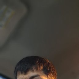 , 33 , 