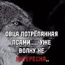 ���� ������, �������� - ��������� 21 ���� 2024 � ������ ������ ��������