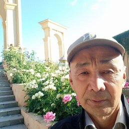 , 54, 