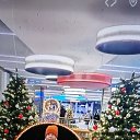 ���� Inga-sergeewna, ������ - ��������� 31 ������� 2025 � ������ ���� ����������