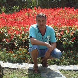 , 51, 