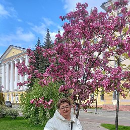 , 48, 