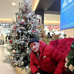 ���� ������, ������, 42 ���� - ��������� 8 ������ 2026