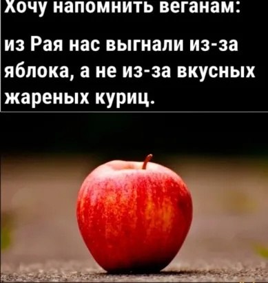  - 19  2023  18:46