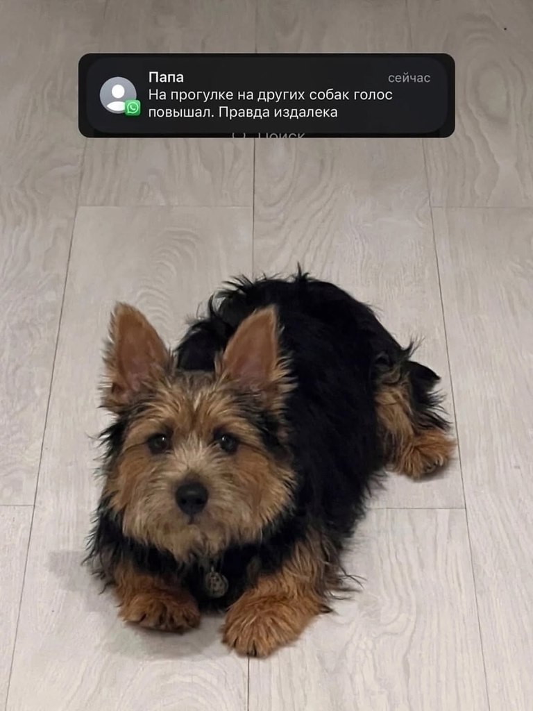 -   !     - 4