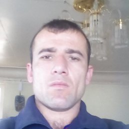 , 34, 