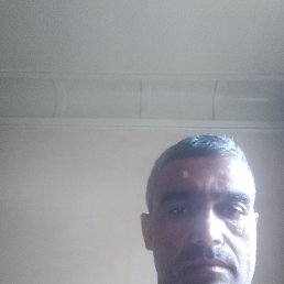 , , 41 