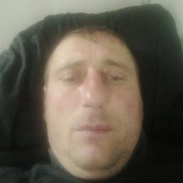 ����, �����-���������, 44 ����