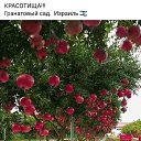 ���� �����, ���� - ��������� 10 ����� 2025 � ������ ���� ����������