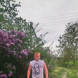 �������, 30 ���, ���������